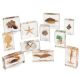Knowledge Builder Mini Beasts Ocean (large set)