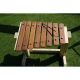 Xylophone Table Primary Height