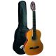 Classical Guitar Set/2 Size Set