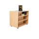 Double Sided Mobile Bookcase
